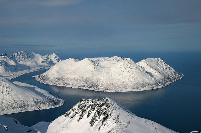 AMD is developing a family of GPUs Arctic Islands