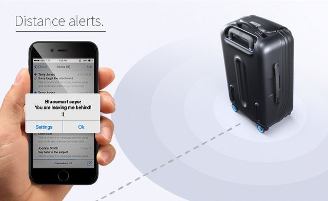 Project smart suitcase Bluesmart attracted more than $ 2 million
