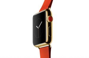 Because of the gold Apple Watch the Apple Store to install special safes